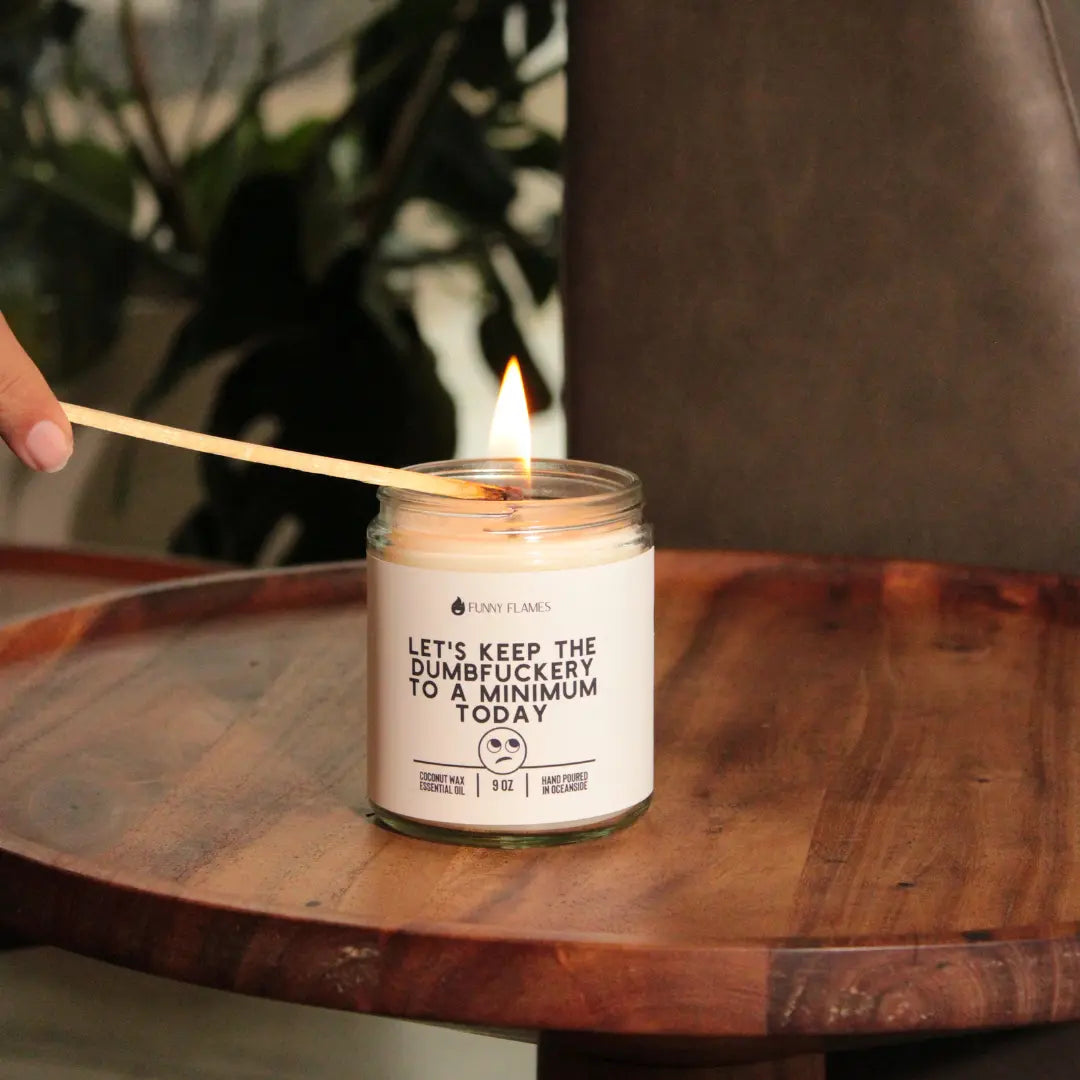 Let's Keep The Dumbfuckery To A Minimum Today DC-Funny Candle Co