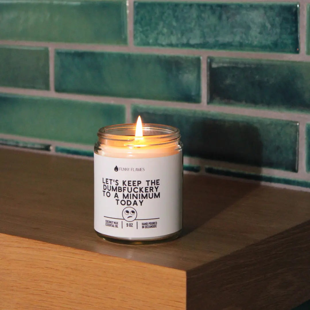 Let's Keep The Dumbfuckery To A Minimum Today DC-Funny Candle Co