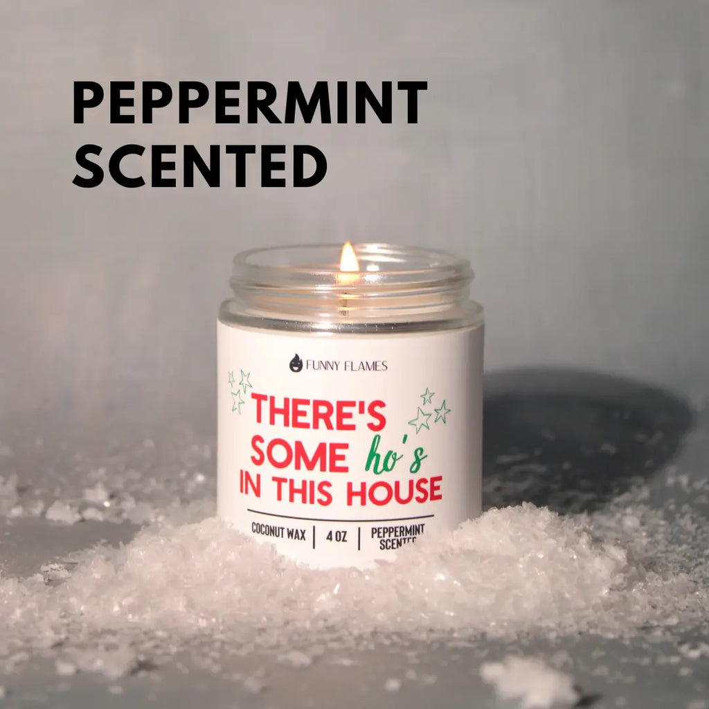 There's Some Ho's In This House DC-Funny Candle Co