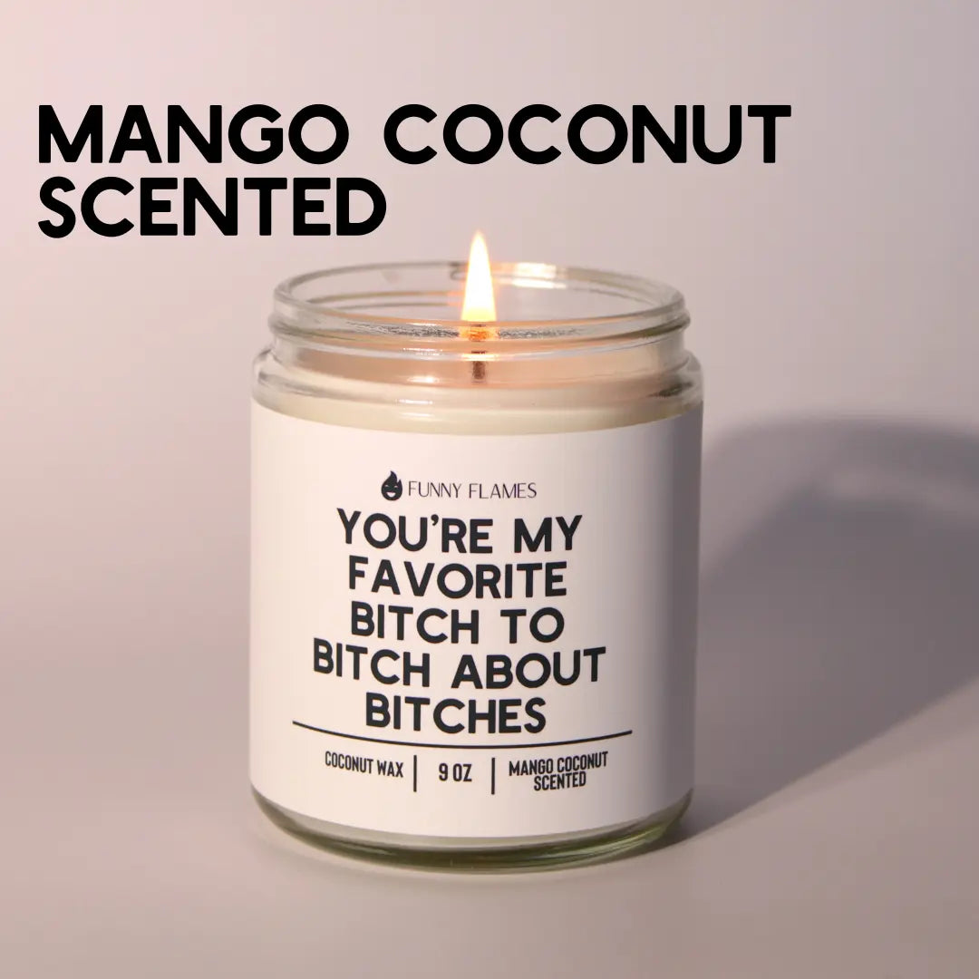 You're My Favorite Bitch To Bitch About Bitches DC-Funny Candle Co