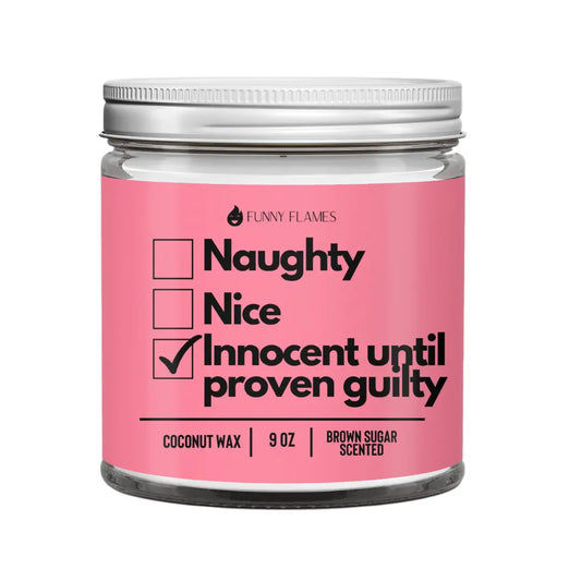 Naughty, Nice, Innocent Until Proven Guilty DC-Funny Candle Co