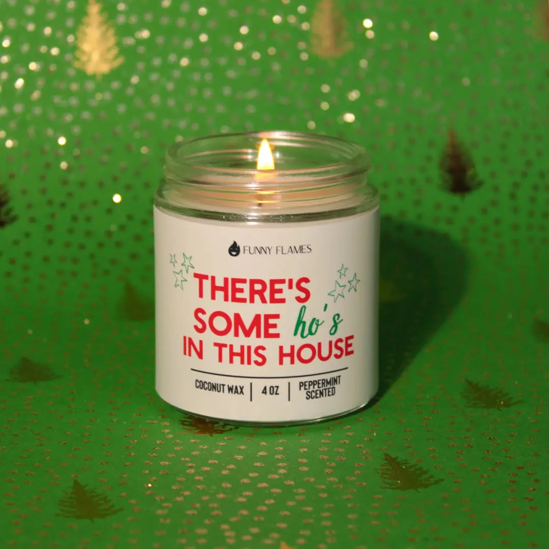 There's Some Ho's In This House DC-Funny Candle Co