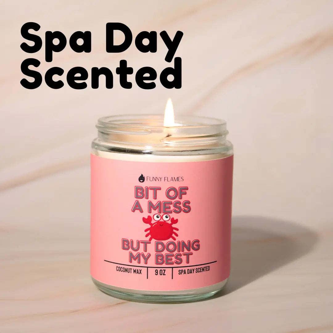 A Bit Of A Mess, But Doing My Best DC-Funny Candle Co