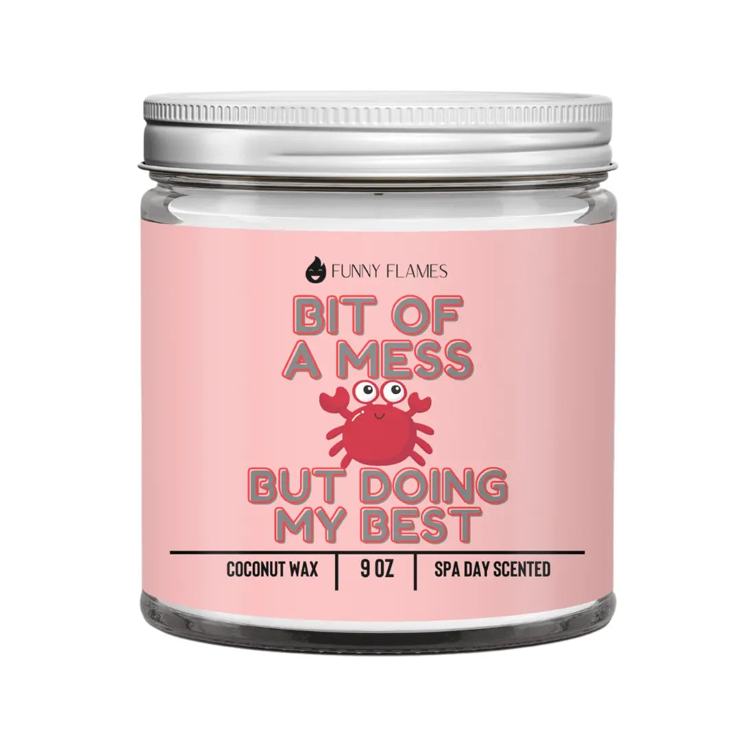 A Bit Of A Mess, But Doing My Best DC-Funny Candle Co