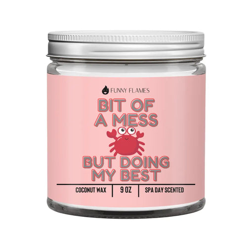 A Bit Of A Mess, But Doing My Best DC-Funny Candle Co