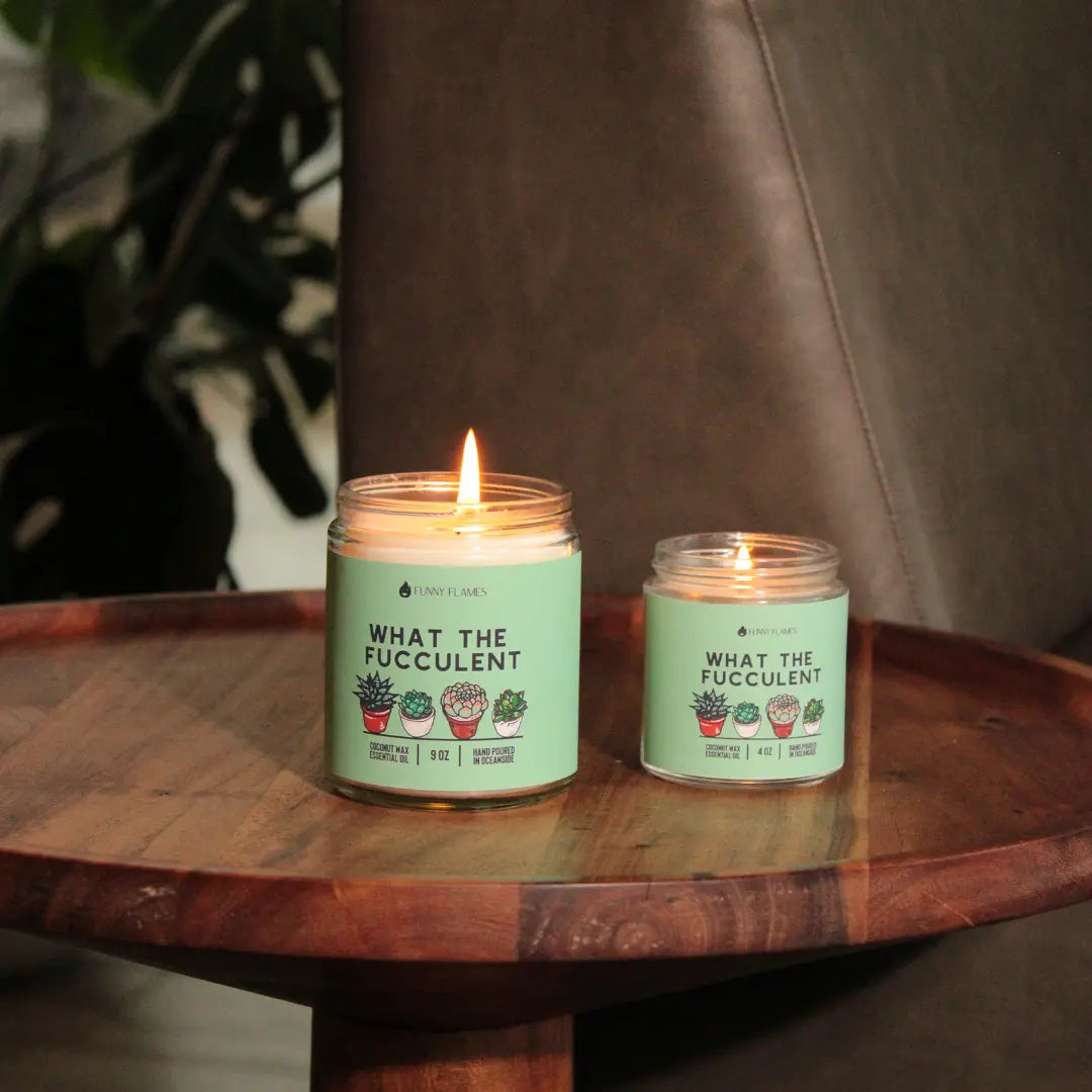What The Fucculent DC-Funny Candle Co
