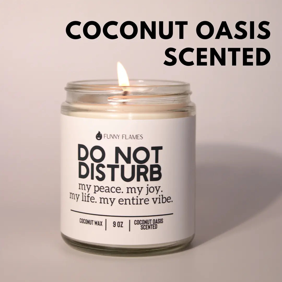 Do Not Disturb, My Peace, My Joy, My Life, My Entire Vibe DC-Funny Candle Co