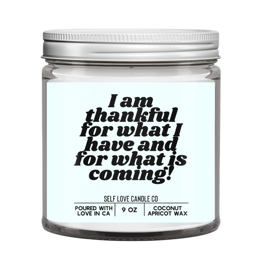 I Am Thankful For What I Have - Funny Flames