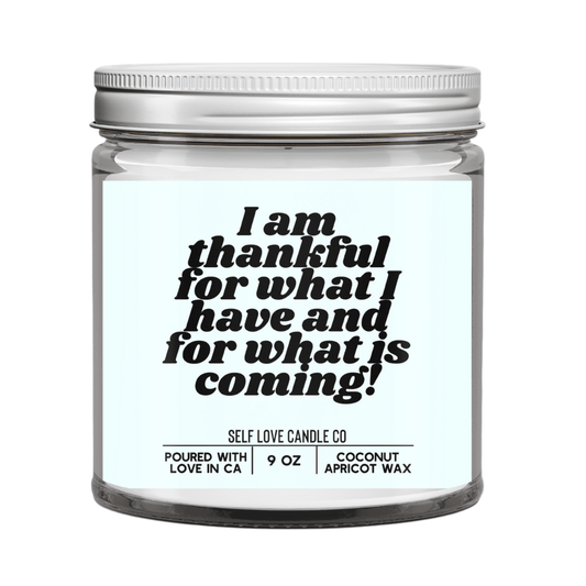 I Am Thankful For What I Have - Funny Flames