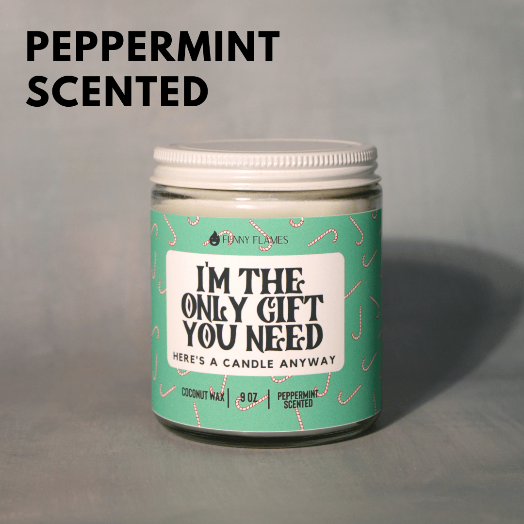 I'm The Only Gift You Need - Funny Flames