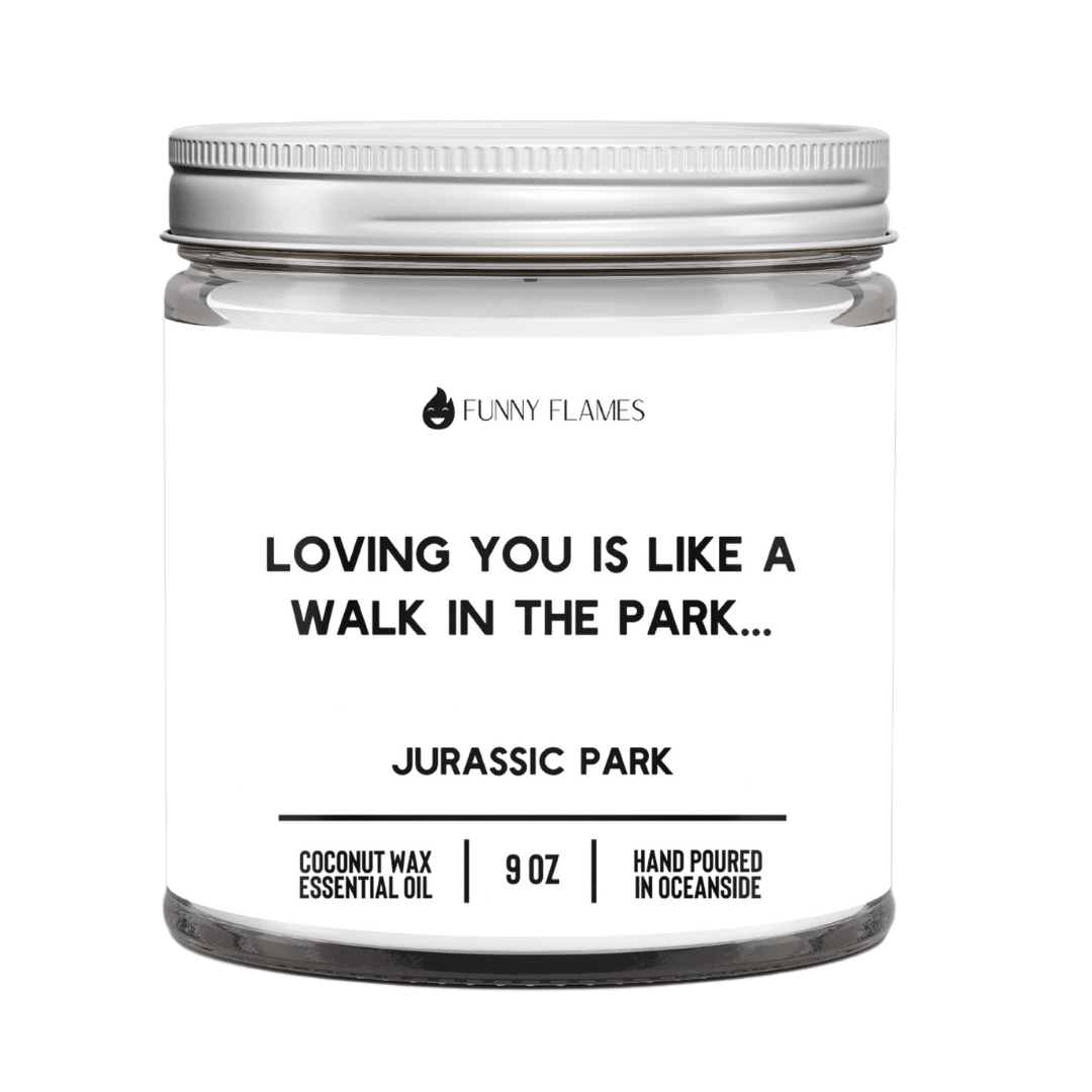 Loving You Is Like a Walk In The Park - Funny Flames