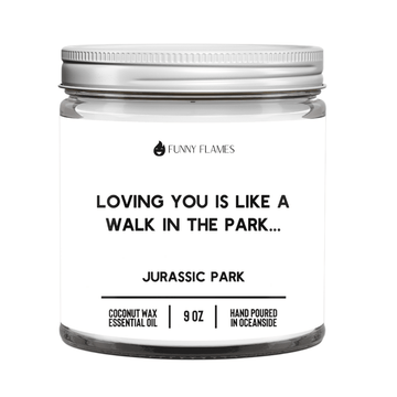 Loving You Is Like a Walk In The Park - Funny Flames