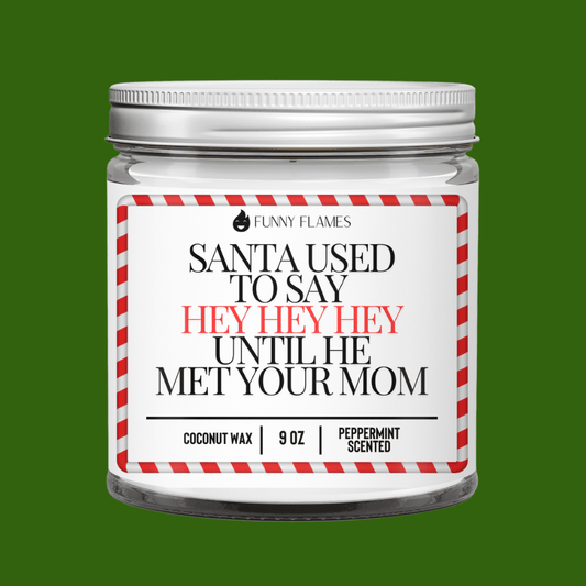 Santa Used To Say Hey Hey Hey Until He Met Your Mom - Funny Flames